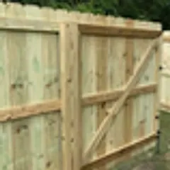 Pine privacy fence with a pair of braced gates swung open