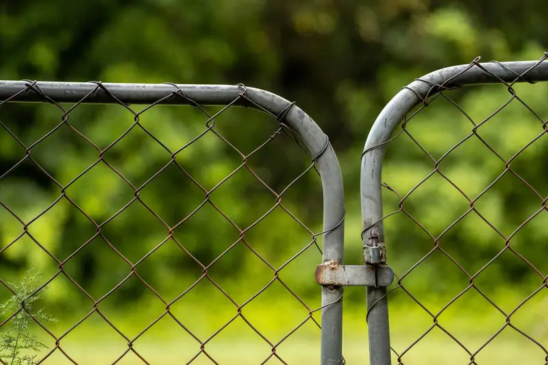 A galvanized chain link double walk gate and latch in a green yard