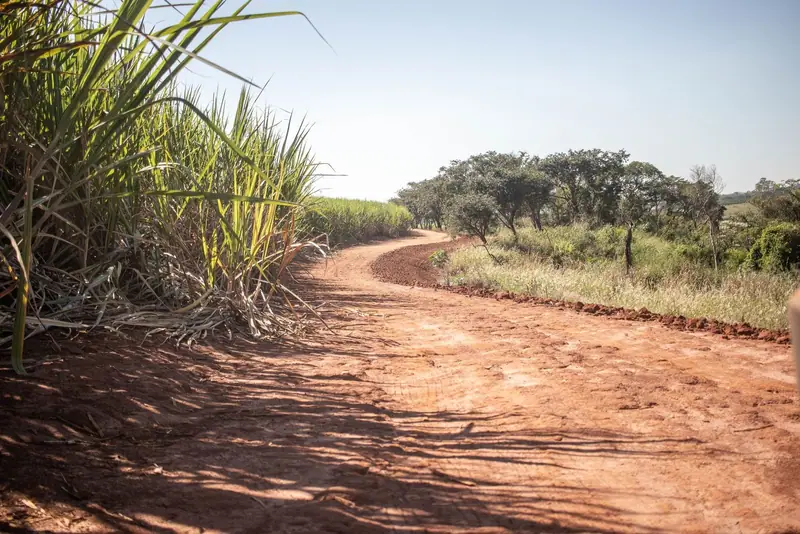 A red clay dirt road curving past tall field grass under an open sky