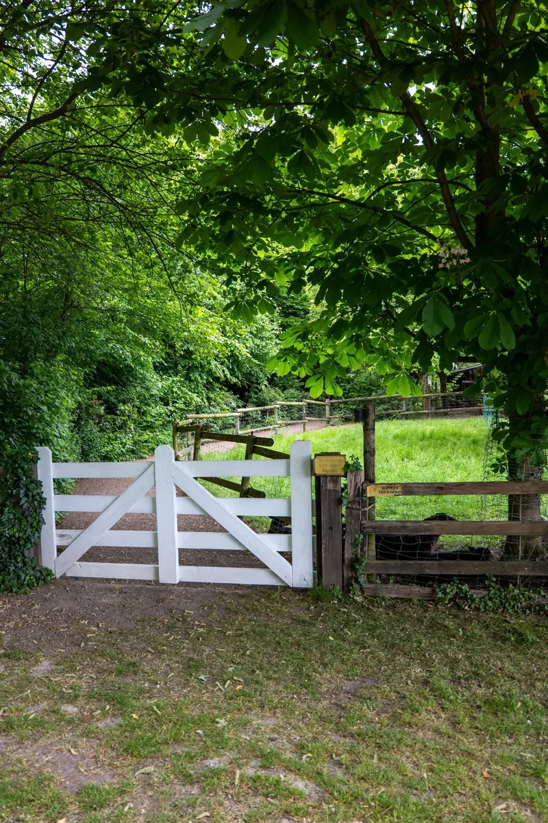 A white five-bar wood gate at the entrance to a green pasture