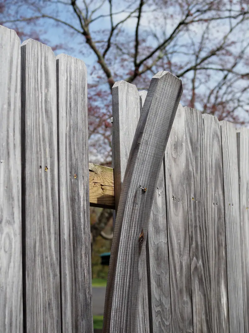 A broken, twisted board hanging out of a gray wood privacy fence